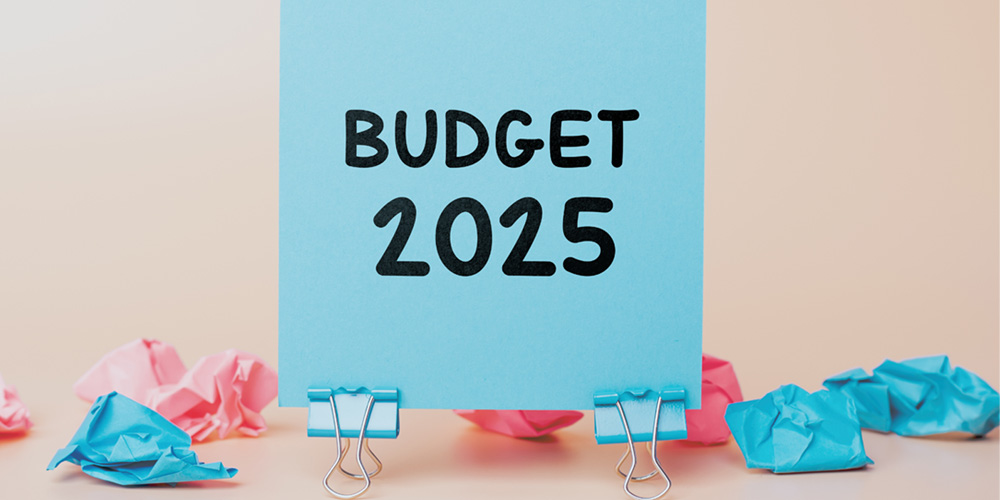 IT Budget 2025